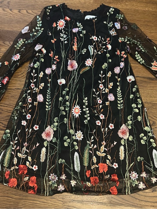 lucky penny Dresses & Skirts - Embroidered Black shear Mini Dress with Floral embroidery and bell sleeves 0192